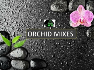 Best orchid mixes for phalaenopsis orchids