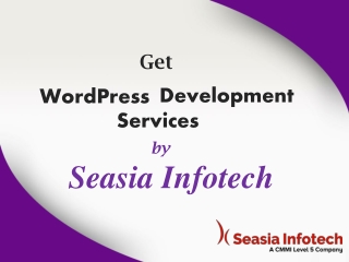 Get Website Development Services by Seasia Infotech