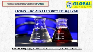 Chemicals and Allied Executives Mailing Leads