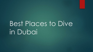 Best Places to Dive in Dubai