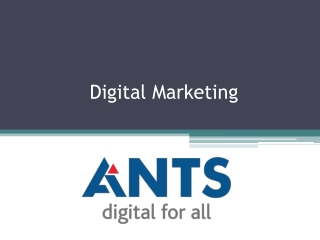 End-to-End Solutions for Digital Marketing in Gurgaon | ANTS Digital