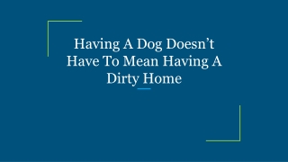 Having A Dog Doesn’t Have To Mean Having A Dirty Home