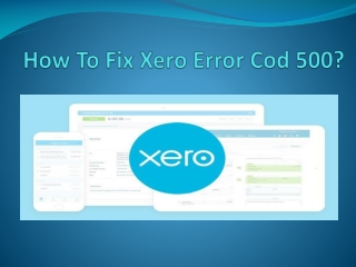 HOW TO FIX XERO ERROR CODE 500?