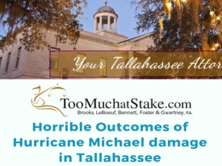How to solve Hurricane insurance disputes: Find the simplest tricks from here