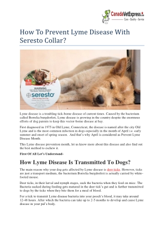 How To Prevent Lyme Disease With Seresto Collar?