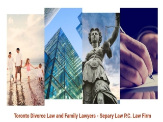 Family Lawyer in Toronto - Separy Law