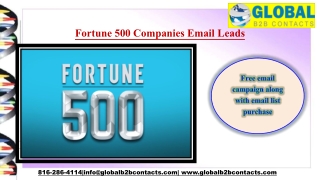 Fortune 500 Companies Email Leads