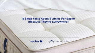 8 sleep facts about bunnies for easter