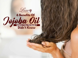 6 Benefits Of Jojoba Oil Which You Probably Didn’t Know