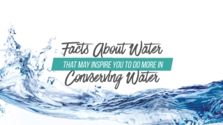 Facts About Water That May Inspire You To Do More In Conserving Water
