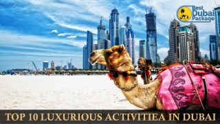 Top 10 Luxury Activities In Dubai