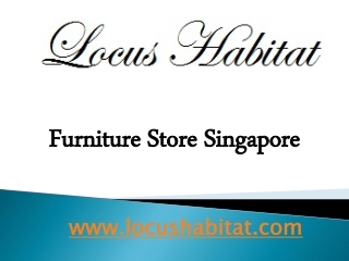 Furniture Store Singapore - locushabitat.com