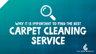 Why It Is Important To Find the Best Carpet Cleaning Service