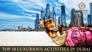 Top 10 Luxury Activities In Dubai