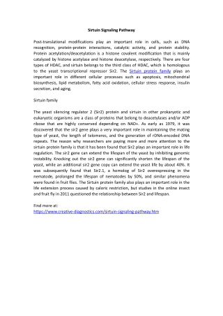 Sirtuin Signaling Pathway
