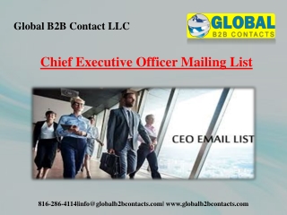 Chief Executive Officer Mailing List