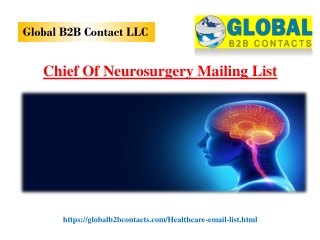 Chief Of Neurosurgery Mailing List