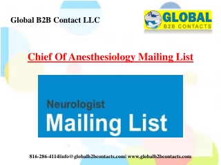 Chief Of Anesthesiology Mailing List