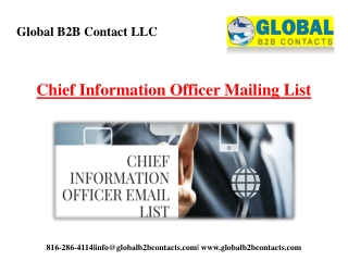 Chief Information Officer Mailing List