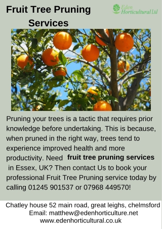 Fruit Tree Pruning Services