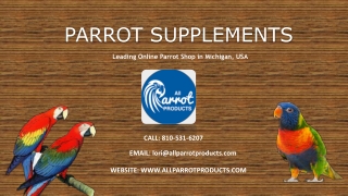 Buy High Quality Parrot Supplements Online – All Parrot Products