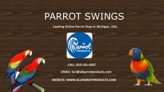 Buy Parrot and Bird Swings Online – All Parrot Products
