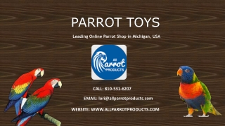 Buy Parrot Toys Online – All Parrot Products