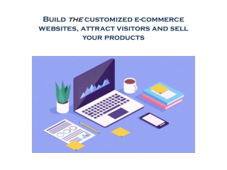 Build the customized e-commerce websites, attract visitors and sell your products