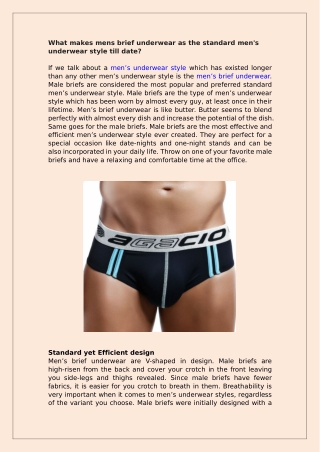 What makes mens brief underwear as the standard men's underwear style till date?