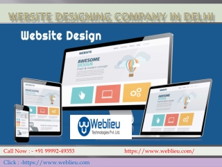 Website Designing Company in Delhi, Website Designing Delhi | WTPL