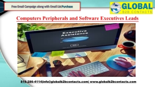 Computers Peripherals and Software Executives Leads