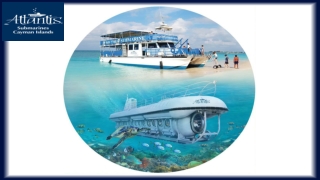 Get Ready to be Amazed by Cayman’s Exotic Marine Life on a Submarine Tour