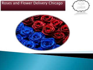 Roses and Flower Delivery Chicago