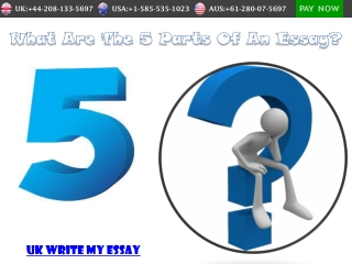 What Are The 5 Parts Of An Essay Writing
