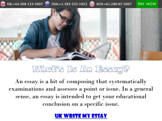 What Is An Essay Writing