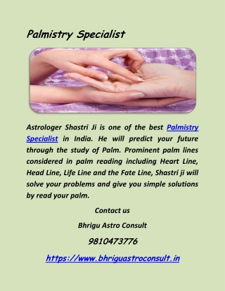Palmistry Specialist