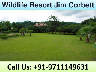 Wildlife Resort Jim Corbett