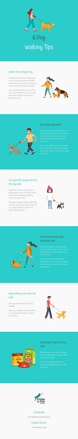 6 Dog Walking Tips