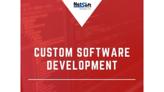 Custom Software Development