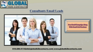 Consultants Email Leads