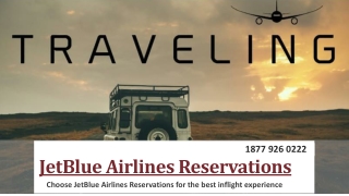 Choose JetBlue Airlines Reservations for the best in flight experience