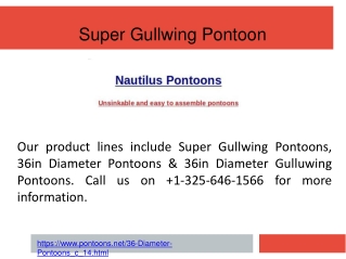 Super Gullwing Pontoon