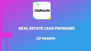 ZipBrands- Real Estate Lead Programs
