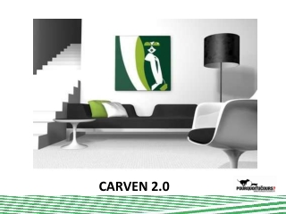 Carven (cas pratique théorique) : comment construire et développer le capital d'une marque en mode 2.0 sur internet ?