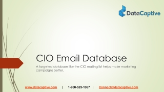 Where can I get opt-in Email Lists of Chief Information Officers in US?