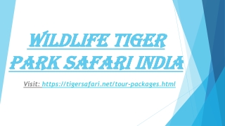 Wildlife Tiger Park Safari India