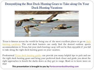 Demystifying the Best Duck Hunting Gears to Take along On Your Duck Hunting Vacations