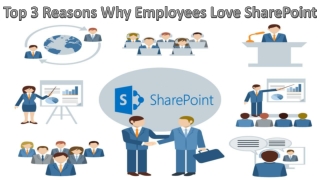 Top 3 Reasons Why Employees Love SharePoint