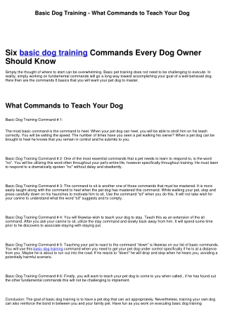 Basic Dog Training - What Commands to Teach Your Dog First