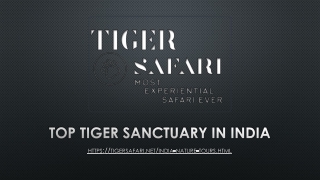 Top tiger sanctuary in india- Tigersafari.